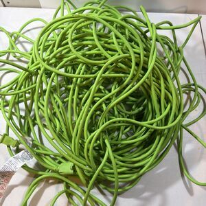 100 FT Outdoor Extension Cord 10A 125V 1250W Green Heavy Duty ETL Listed SF-53